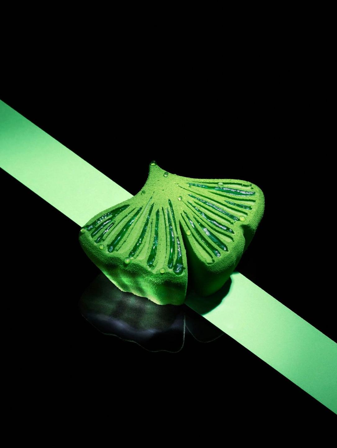 Moule silicone entremet sur mesure pour professionnels