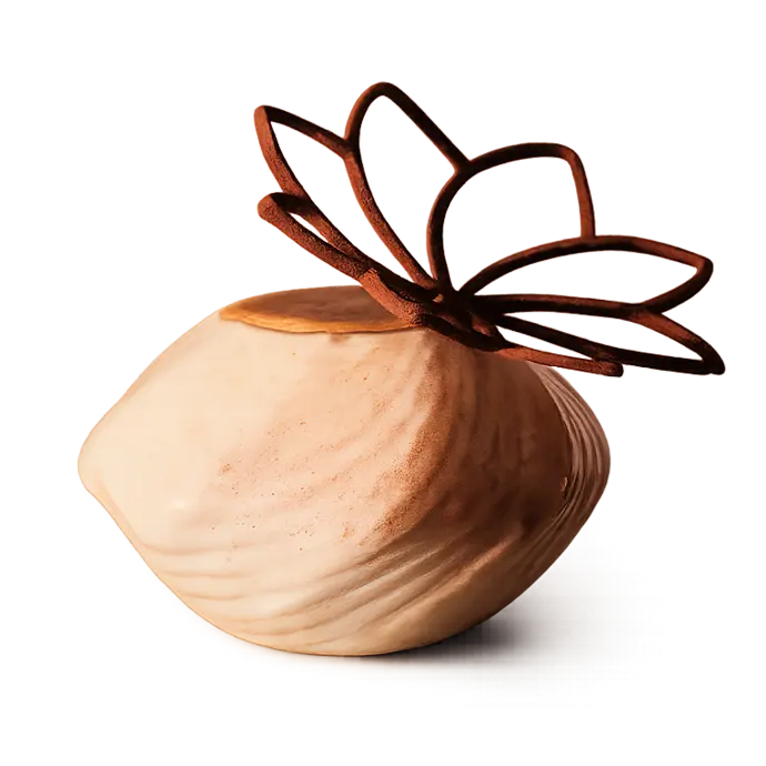 Entremet individuel sur mesure pour usage professionnel